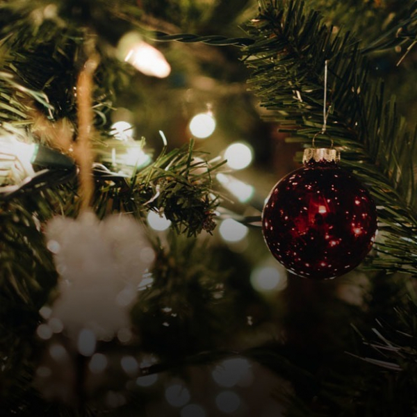 Winter Family Party, фильм &laquo;Небесный верблюд&raquo; и концерт Thriller